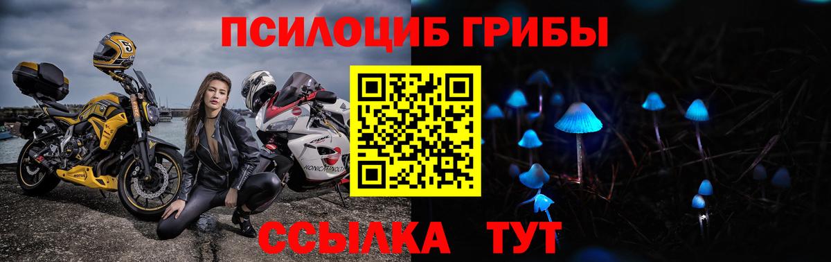 Псилоцибиновые грибы GOLDEN TEACHER  Вход с VPN  Ленинск-Кузнецкий 